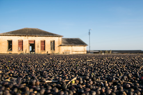 Cafés